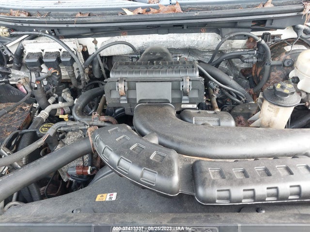 2007 FORD F-150 XLT/FX4/LARIAT/XL VIN: 1FTPX14V67FB84678