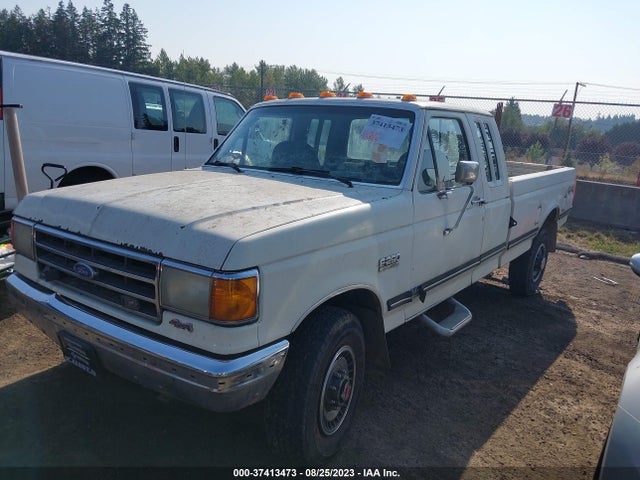 1991 FORD F250 VIN: 1FTHX26G6MKA50037