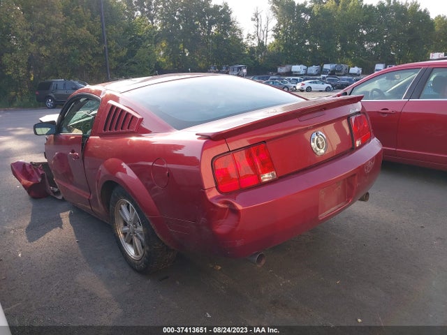 2007 FORD MUSTANG DELUXE/PREMIUM VIN: 1ZVFT80N375328907