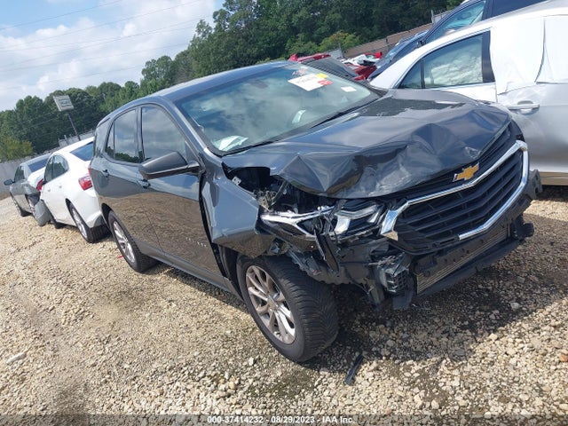 Chevrolet EQUINOX LS 2018 2GNAXHEV8J6275179 Image 1