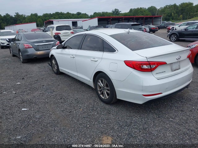 Hyundai Sonata 2.4l Se 2016 5NPE24AF7GH384186 Image 3