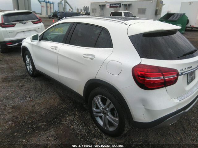 2020 MERCEDES-BENZ GLA W1NTG4GB2LU030596 Photo 2