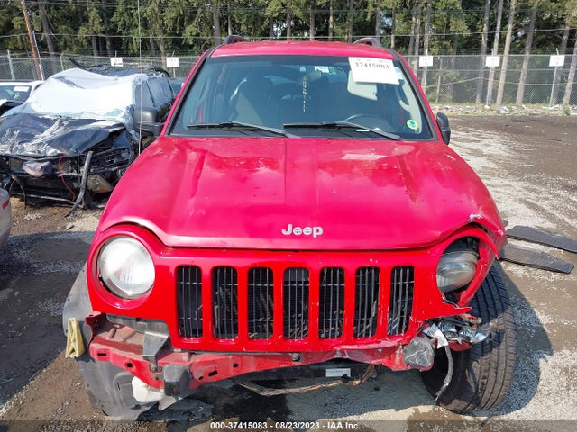 2004 JEEP LIBERTY SPORT VIN: 1J4GK48K64W285922