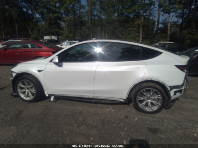 5YJYGDEE5MF174731 Tesla Model Y Long Range