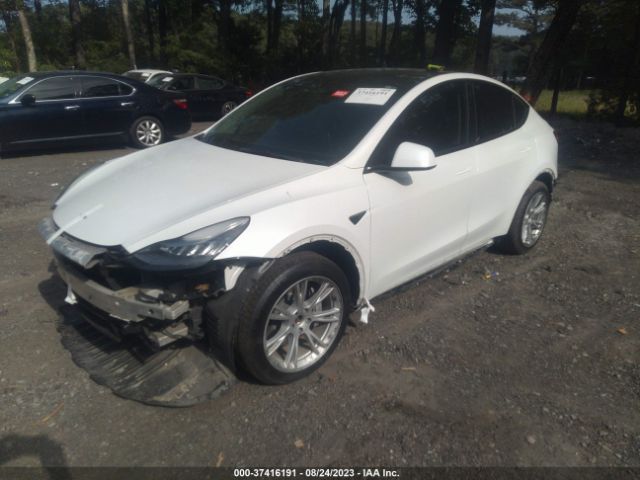 5YJYGDEE5MF174731 Tesla Model Y Long Range