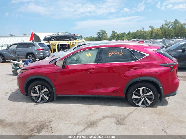 2021 Lexus NX, VIN: JTJGJRDZ0M5013748