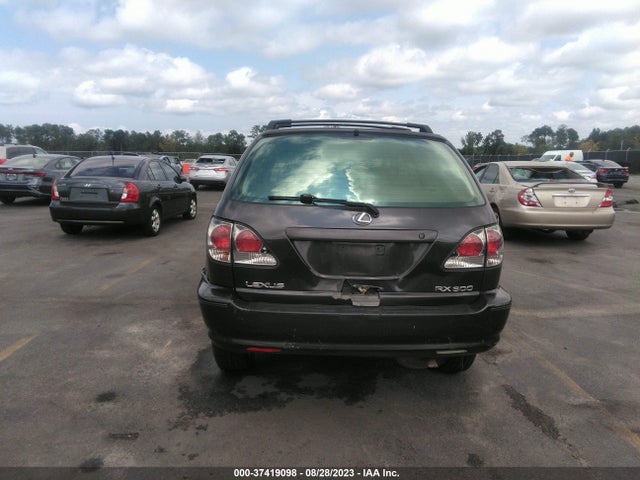 2002 LEXUS RX 300 VIN: JTJGF10U820146832