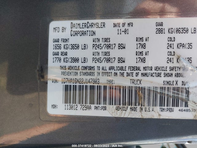 2002 DODGE RAM 1500 VIN: 1D7HA16N22J147903