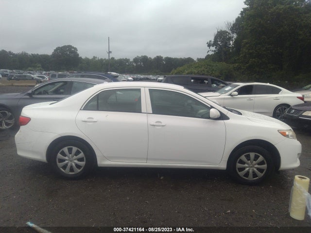 2010 TOYOTA COROLLA VIN: JTDBU4EE8AJ065683
