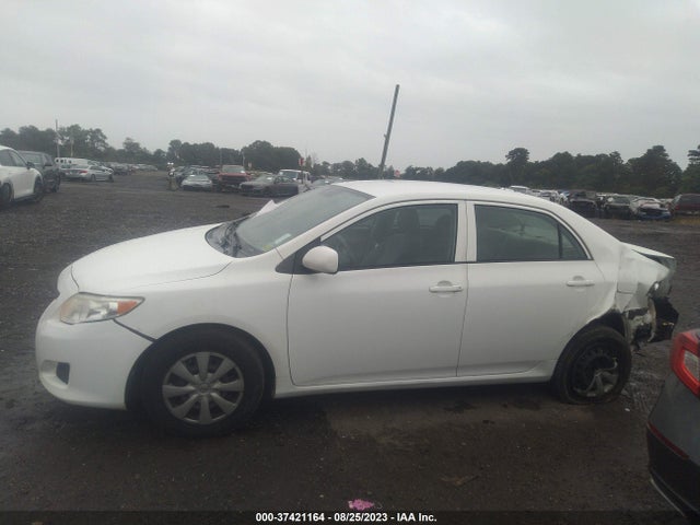 2010 TOYOTA COROLLA VIN: JTDBU4EE8AJ065683