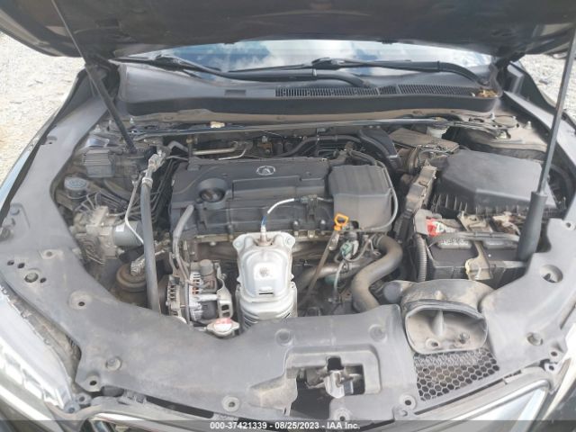 19UUB1F3XFA029464 Acura TLX