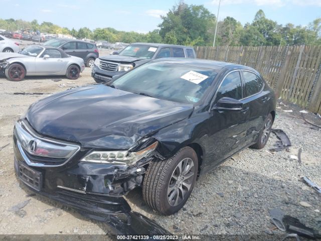 19UUB1F3XFA029464 Acura TLX