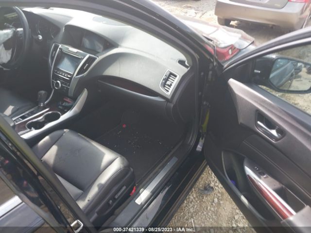 19UUB1F3XFA029464 Acura TLX