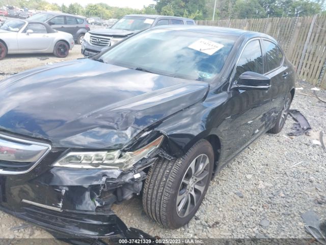 19UUB1F3XFA029464 Acura TLX