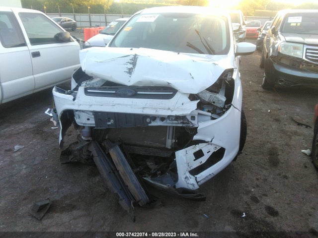 Ford ESCAPE SE 2016 1FMCU0G76GUA09675 Image 6