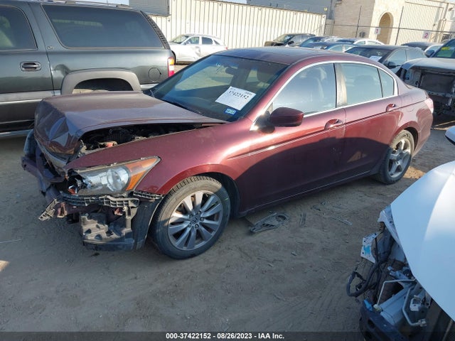 2011 HONDA ACCORD SDN EX VIN: 1HGCP2F77BA061000