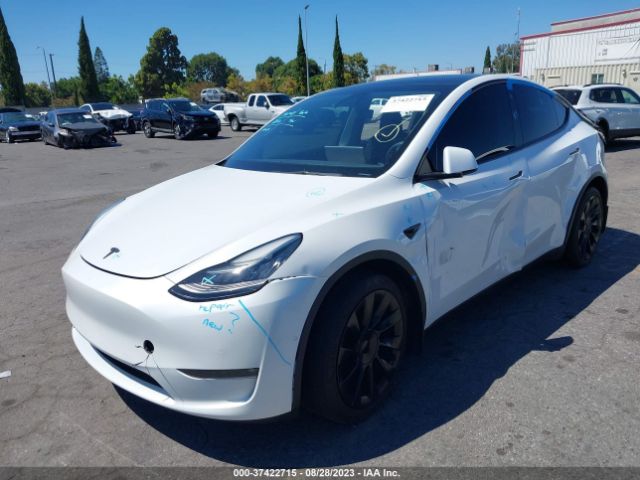 5YJYGAEE3MF155271 Tesla Model Y Long Range