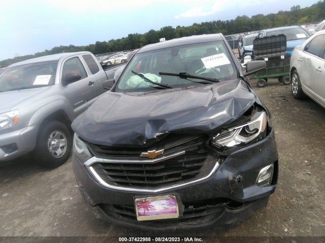 Chevrolet EQUINOX LS 2019 3GNAXHEV9KL259165 Image 12