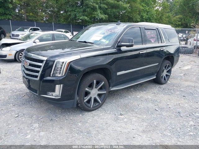 1GYS4BKJ8GR373155 Cadillac Escalade Luxury Collection