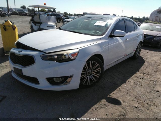 KNALN4D72F5196559 KIA Cadenza Premium