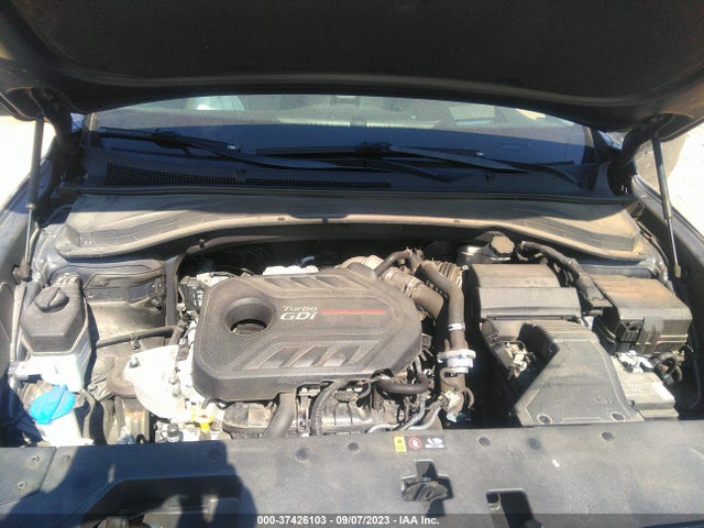 2020 HYUNDAI SANTA FE LIMITED VIN: 5NMS5CAA3LH250484
