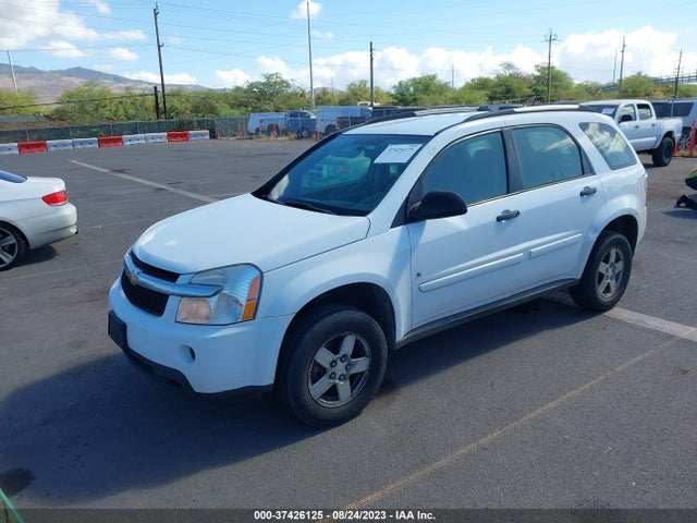 2009 CHEVROLET EQUINOX LS VIN: 2CNDL13F696205059