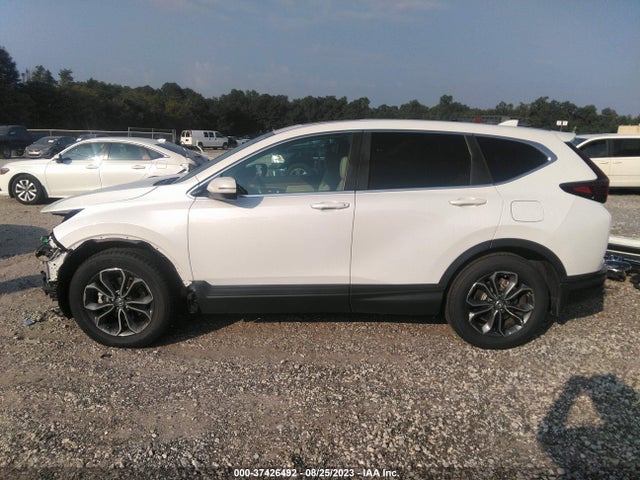Honda Cr-v Ex-l 2020 5J6RW1H87LA018512 Image 15