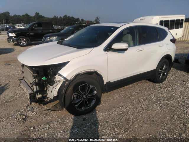 Honda Cr-v Ex-l 2020 5J6RW1H87LA018512 Image 2