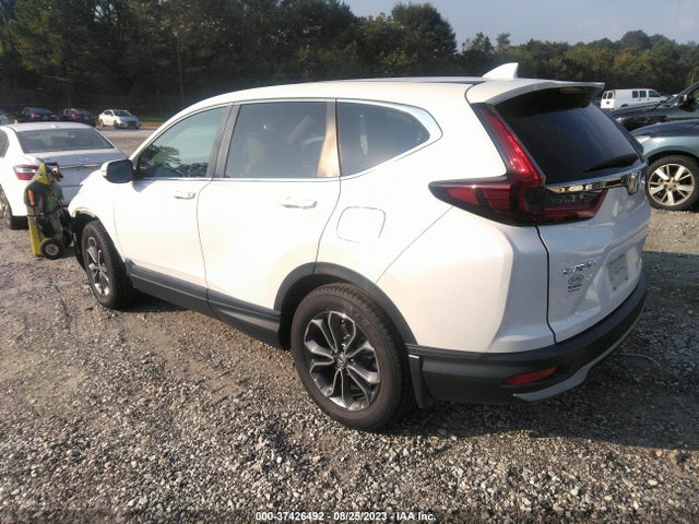 Honda Cr-v Ex-l 2020 5J6RW1H87LA018512 Image 3