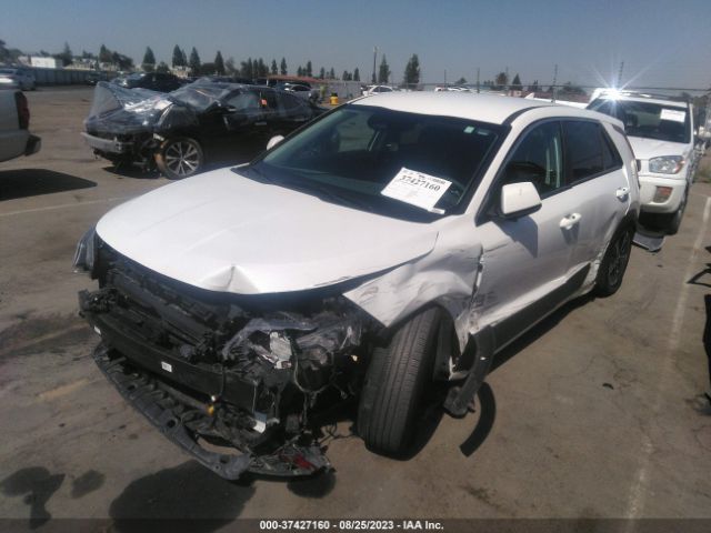 KNDCP3LE5P5069958 KIA NIRO LX