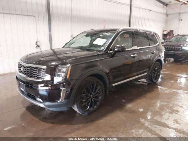 5XYP5DHC0LG087631 KIA Telluride Sx