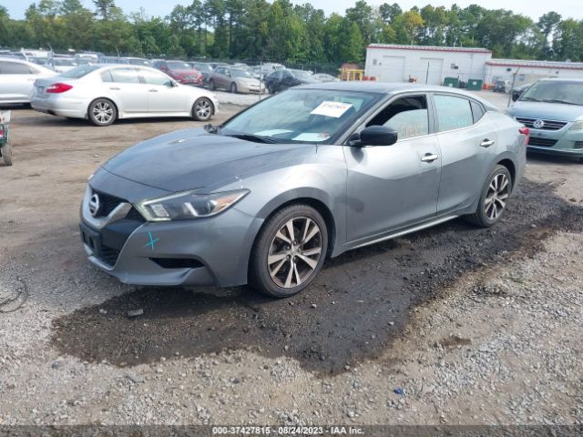 1N4AA6AP8HC381628 Nissan MAXIMA S