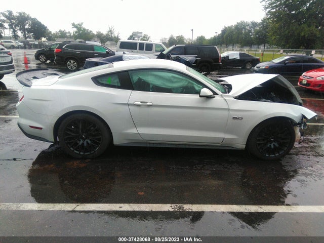 Ford MUSTANG GT 2019 1FA6P8CF8K5195281 Image 5