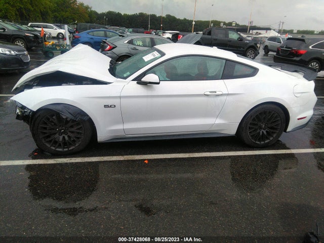 Ford MUSTANG GT 2019 1FA6P8CF8K5195281 Image 6