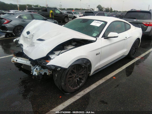Ford MUSTANG GT 2019 1FA6P8CF8K5195281 Image 2