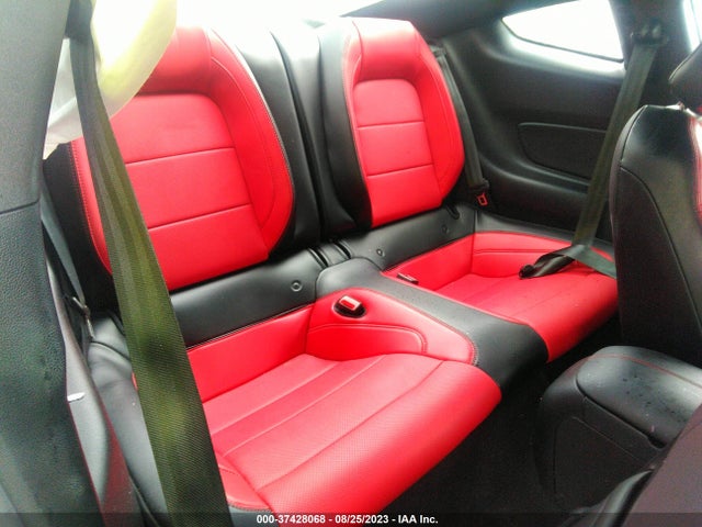 Ford MUSTANG GT 2019 1FA6P8CF8K5195281 Image 14