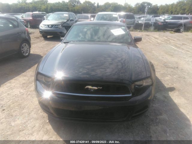 1ZVBP8AM7E5286831 Ford Mustang V6