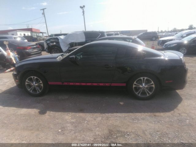 1ZVBP8AM7E5286831 Ford Mustang V6