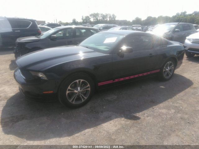1ZVBP8AM7E5286831 Ford Mustang V6
