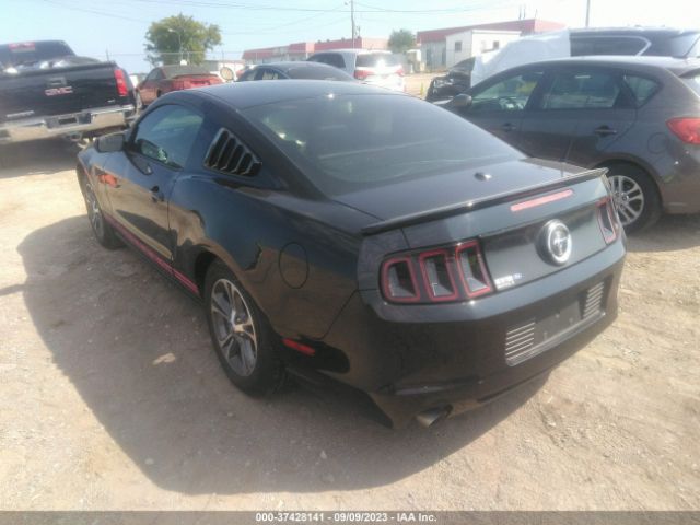 1ZVBP8AM7E5286831 Ford Mustang V6
