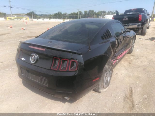 1ZVBP8AM7E5286831 Ford Mustang V6