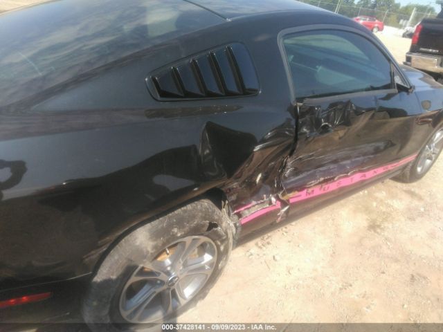 1ZVBP8AM7E5286831 Ford Mustang V6