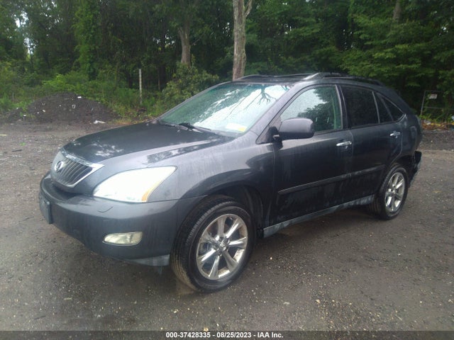 2009 LEXUS RX 350 VIN: 2T2GK31U59C080308