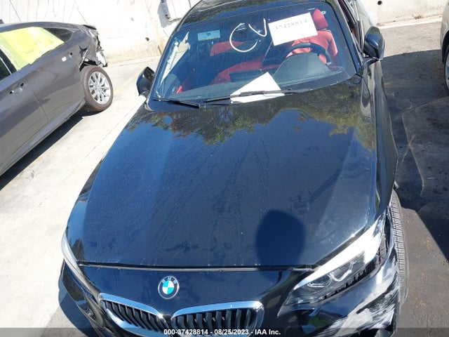 2019 BMW 2 Series, VIN: WBA2J1C5XKVD10097
