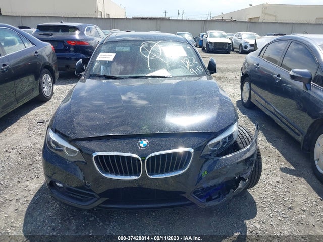 2019 BMW 2 Series, VIN: WBA2J1C5XKVD10097