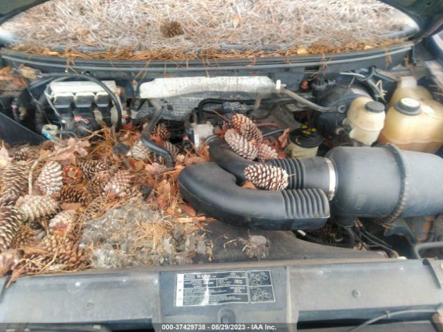 2007 FORD F-150 1FTRW14W57FA91767 Photo 9