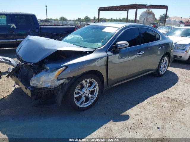 1N4AA5AP5EC471230 Nissan Maxima 3.5 Sv
