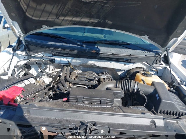 2013 FORD F-150 XL/XLT VIN: 1FTNF1CF9DKD56094