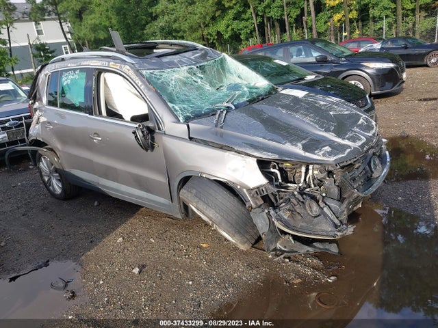 2009 VOLKSWAGEN TIGUAN S/SE/SEL/SE W/LEATHER VIN: WVGAV95N99W523912