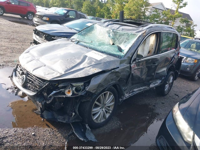 2009 VOLKSWAGEN TIGUAN S/SE/SEL/SE W/LEATHER VIN: WVGAV95N99W523912